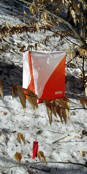 Example Orienteering Control Flag