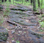 bw_ledges.jpg