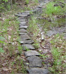 yellow_brick_road.jpg
